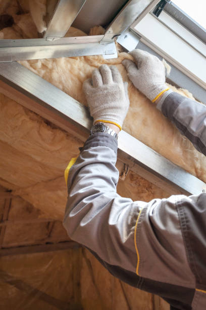 Best Best Insulation Companies  in Sebree, KY