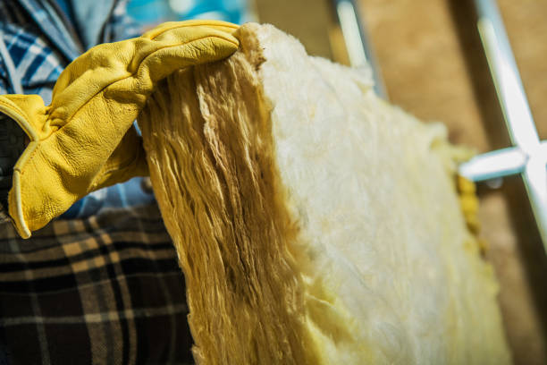 Best Blown-in Insulation  in Sebree, KY