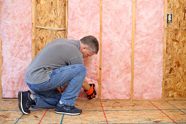 Best Soundproof Insulation Installation  in Sebree, KY